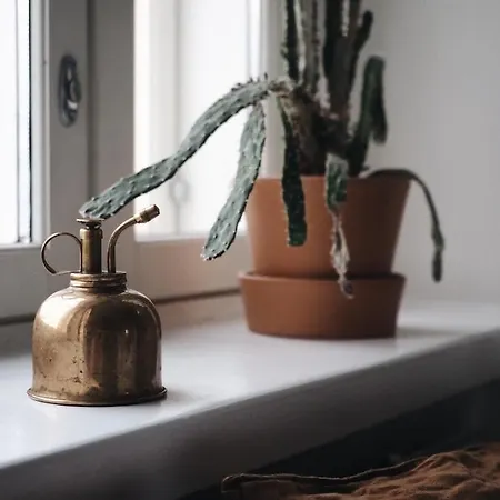 Homelike 1Br Apartment In Historical Building Tampere